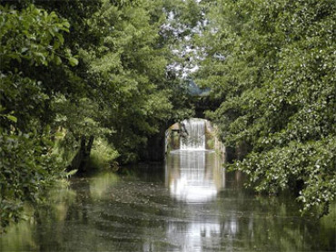 Alter_Kanal_Blick_durchs_Grün_auf_Wasserfall